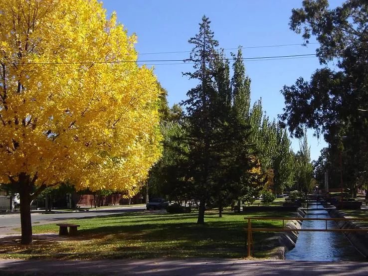 Otoño en el Paseo del Canalito en el Alto Valle. Otoño en el Paseo del Canalito en el Alto Valle.